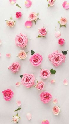 pink roses scattered around a compact mirror on a white surface with leaves and petals surrounding it