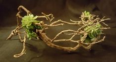 Autumn Fae, Branch Crown, Fae Prince, Twig Crown, Woodland Tiara, Giselle Ballet, Bohemian Crown, Wood Crown, Crown Fairy