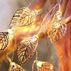 a string of fairy lights with leaves on them hanging from a wire in someone's hand