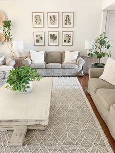 a living room with couches, chairs and a coffee table in front of them