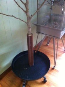 a bird cage sitting on top of a table next to a tree with no leaves