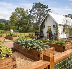 an outdoor garden area with raised wooden planters