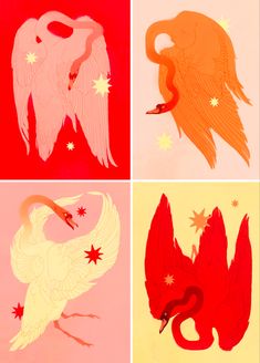 four different types of birds with stars in the middle one is red, white and yellow