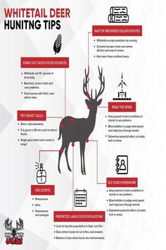 the deer hunting tips info sheet is shown in red and black, with instructions on how to