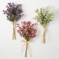 three different types of flowers tied to each other on a white wall with twine