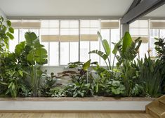 a room filled with lots of different types of plants