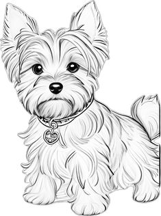 a drawing of a small dog with a collar