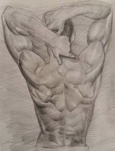 a pencil drawing of a man's torso