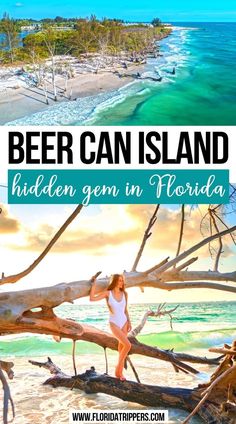 Beer Can Island Hidden Gem in Florida Best Beaches In Florida, Longboat Key Florida, Florida Vacation Spots, Beaches In Florida, Florida Travel Destinations, Florida Travel Guide, Florida Adventures, Places In Florida, Longboat Key