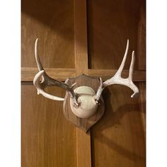 a deer's head mounted to the side of a wooden door