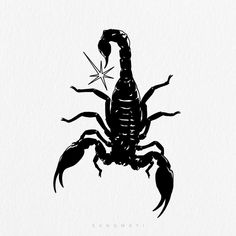 a drawing of a scorpion on a white background with the word scorpion written below it