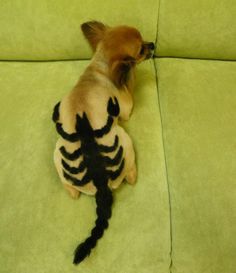 a small dog sitting on top of a green couch next to a stuffed animal skeleton