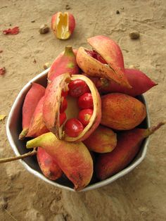 a bowl filled with fruit sitting on top of a sandy ground