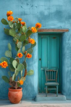 an orange flower in a pot next to a blue wall with a green door and chair