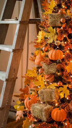 a ladder is decorated with pumpkins and hay for the holiday tree, while other decorations are arranged around it