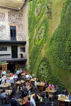 people are sitting at tables in front of a wall with green plants on the side