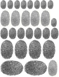 several fingerprints are shown in different sizes and shapes, including the thumb prints