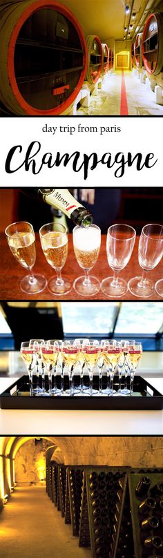 wine glasses are lined up on a table with the words champagne in front of them