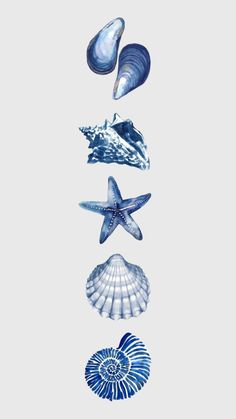 four seashells and one starfish on a white background