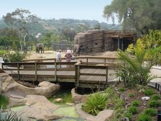 two people are standing on a bridge over a small pond with elephants in the background