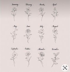 Zodiac Flowers Birth Month, August And November Birth Flower Tattoo, July Month Flower, December Flower Tattoo, August Flower Tattoo, January Flower, November Flower, Flower Spine Tattoos