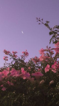 some pink flowers are in the foreground and a purple sky is in the background