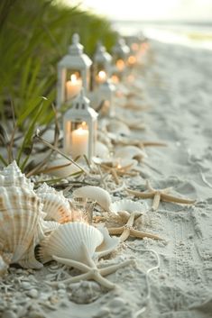 candles are lined up along the beach with seashells