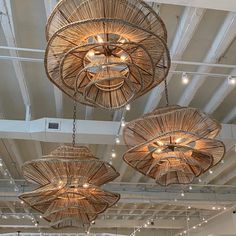 a group of chandeliers hanging from the ceiling