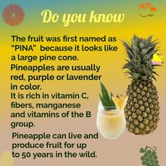 Benefits Of Pineapple For Women, Benefits Of Pineapple, What Does Pineapple Help With, Pineapple Nutrition Facts, Apple Facts, Fruit Facts, Pineapple Health Benefits, Pineapple Benefits, Growing Pineapple