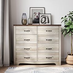 a wooden dresser sitting next to a window with pictures on top of it and a potted plant in the corner