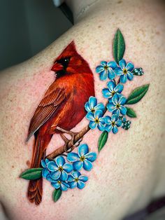 Red photo realistic Cardinal on a branch with flowers shoulder tattoo by Megan Massacre Realism Cardinal Tattoo, Branch Shoulder Tattoo, Shoulder Bird Tattoo, Flying Cardinal Tattoo, Cardinal On A Branch, Glory Tattoo, Cardinal Tattoo, Cardinal Tattoos, Bird Tattoos