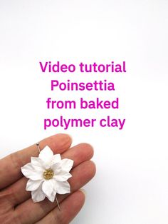 a hand holding a white flower on top of a piece of paper with the words video tutor poinsettia from baked polymer clay