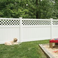 a dog laying on the grass in front of a white fence and table with food