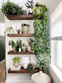 some plants are sitting on shelves in the corner