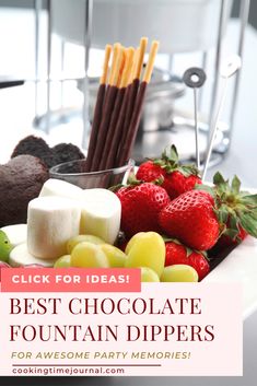 the best chocolate fountain dippers for someone's party memories are in this post