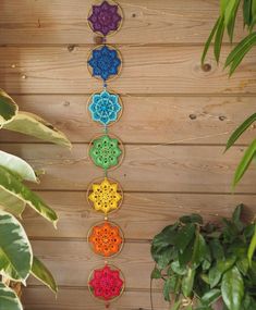 the seven chakras are arranged in different colors and sizes, along with some plants