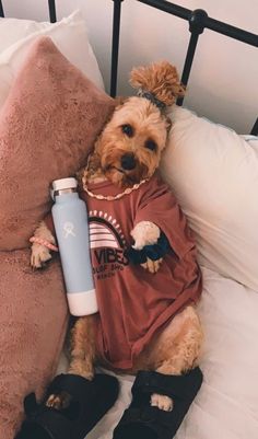 a brown dog laying on top of a bed next to a pillow and water bottle