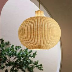 a round light hanging from a ceiling in a room with a potted plant next to it