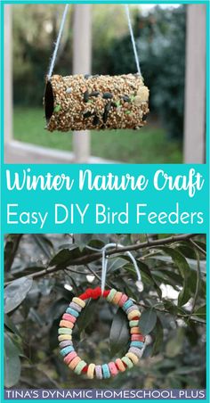 a bird feeder hanging from a tree with the words winter nature craft easy diy bird feeder