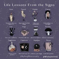 an illustrated poster with different types of zodiac signs and their corresponding meaningss, including the names