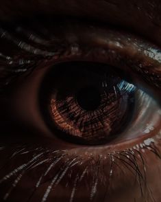 Iris Eye, Pretty Brown Eyes, Eye Close Up, Grunge Pictures, Brown Eyed Girls, Artist Aesthetic, Eye Photography, Dark Brown Eyes