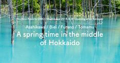 the water is blue and green with trees in it, as well as text that reads'a spring time in the middle of hokido '