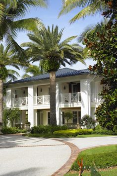 a white house surrounded by palm trees and greenery