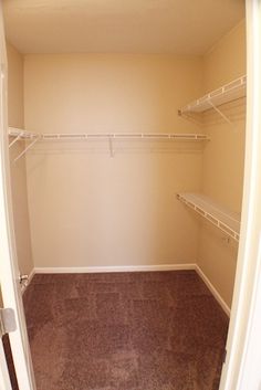 an empty walk in closet with white shelving and brown carpeted flooring is shown