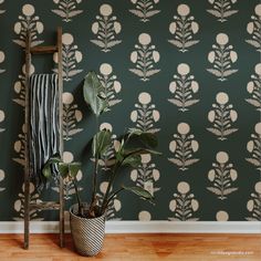 a potted plant sitting on top of a wooden chair in front of a wall