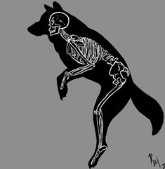 a black and white drawing of a dog with skeleton bones on it's back