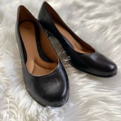 Black Kitten Heel Shoe With Comfy Insole. Never Worn. Rubber Sole That Helps Prevents Slipping. Black Kitten Heels, Kitten Heel Shoes, Black Kitten, Kitten Heel, Shoes Black, Shoes Women Heels, Black Shoes, Rubber Sole, Kitten Heels