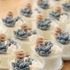 small glass dishes with succulents in them on a table