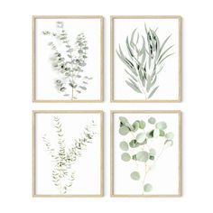 PRICES MAY VARY. MINIMALIST PLANT PAINTING WALL DECOR: Elevate your living space with this plant wall decor as the centerpiece. Whether you're looking to create a focal point in your living room or infuse creativity into your bedroom, this wall art plant can transform your environment. Our art prints are exclusively designed, meaning you won't find this unique plant wall art elsewhere. BOTANICAL FRAME PRINTS: The versatile design of the aesthetic decor effortlessly complements various interior s Mini Wc, Haus And Hues, Dorm Stuff, Framed Botanical Prints, Leaves Wall Art, Framed Plants, Plant Wall Art, Floral Kitchen, Plant Wall Decor