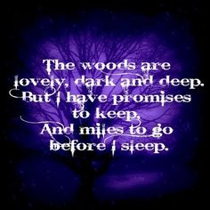 the words are lovely, dark and deep but i have proms to keep and miles to go before i sleep